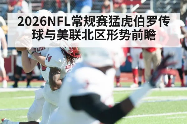2026NFL常规赛猛虎伯罗传球与美联北区形势前瞻